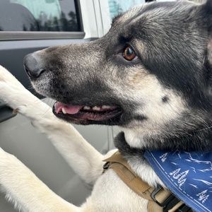 Meet your Posher, Shawna